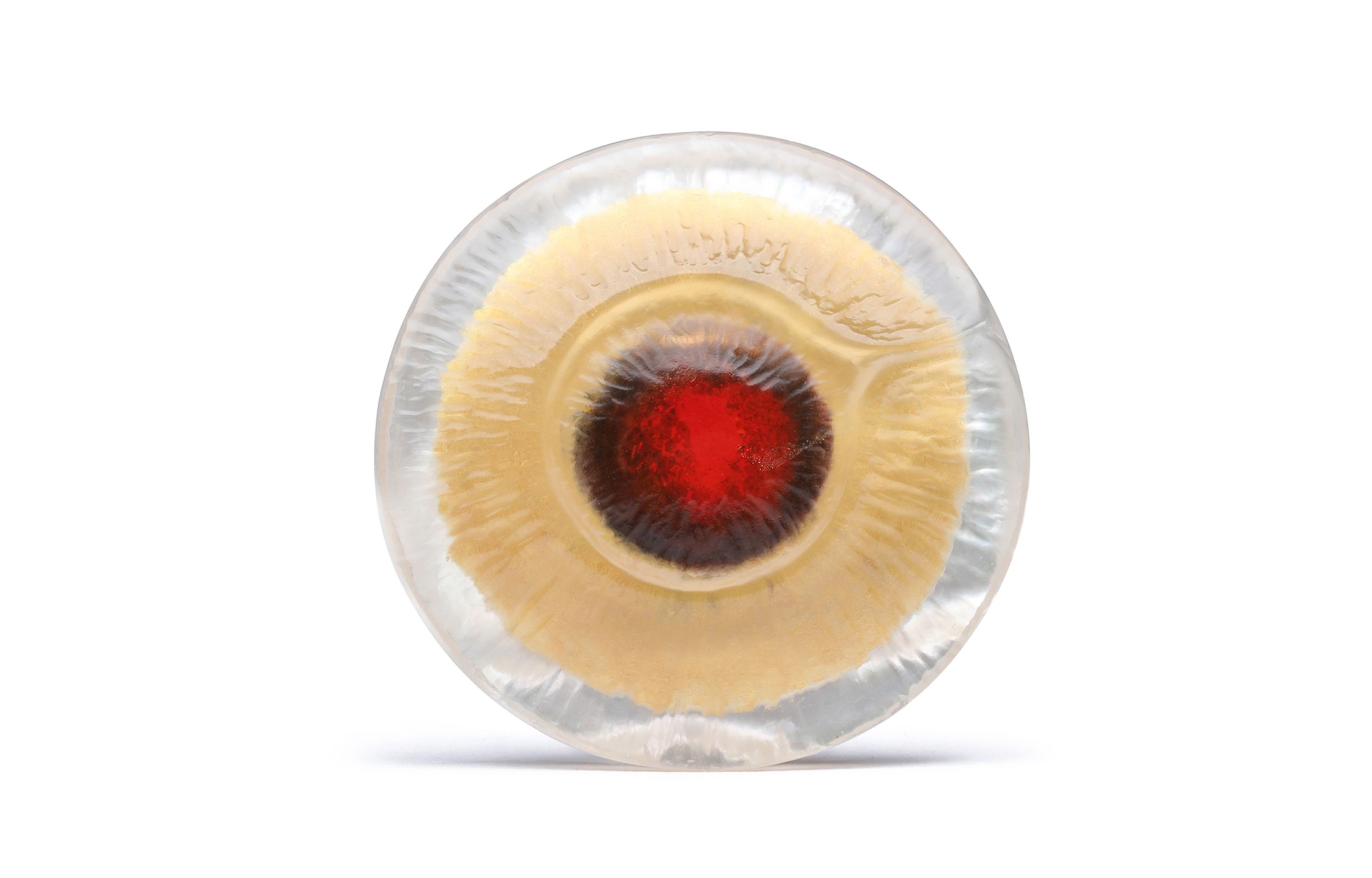 PAULY The Art of Carvings – Origins